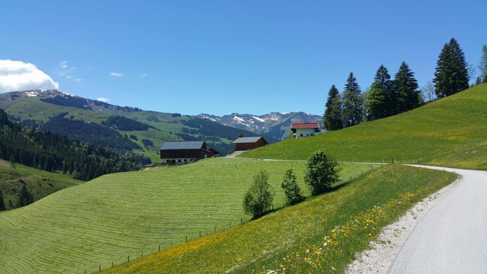 Haus Am Sonnberg Villa Maria Alm am Steinernen Meer Exterior photo